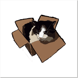 Box Cat Posters and Art